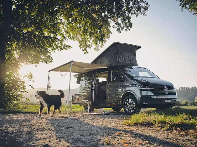 Mietcamper VW T6.1 CALIFORNIA OCEAN