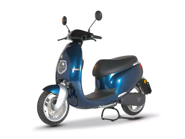 Ecooter E1