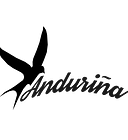 Andurina Wohnmobile AG