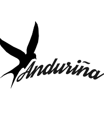 Andurina Wohnmobile AG