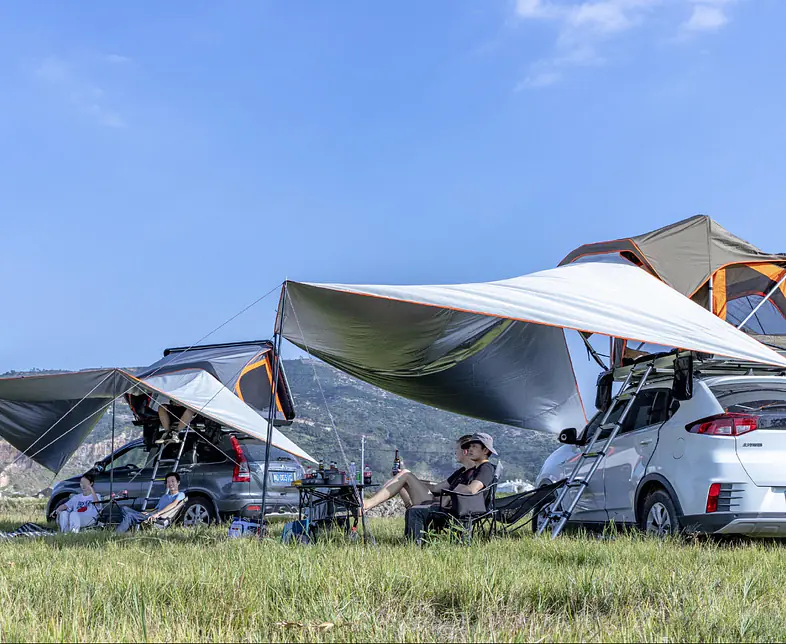 canopy2.jpg